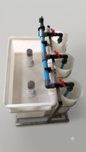 Hatchery 2