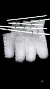 WilpetBrushes